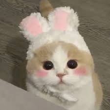 บดินทร์ ผาลา avatar